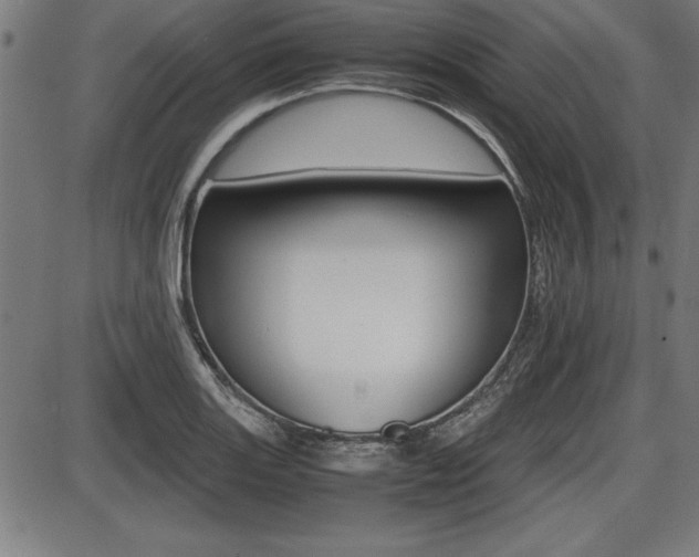 X0000087671131200705040719