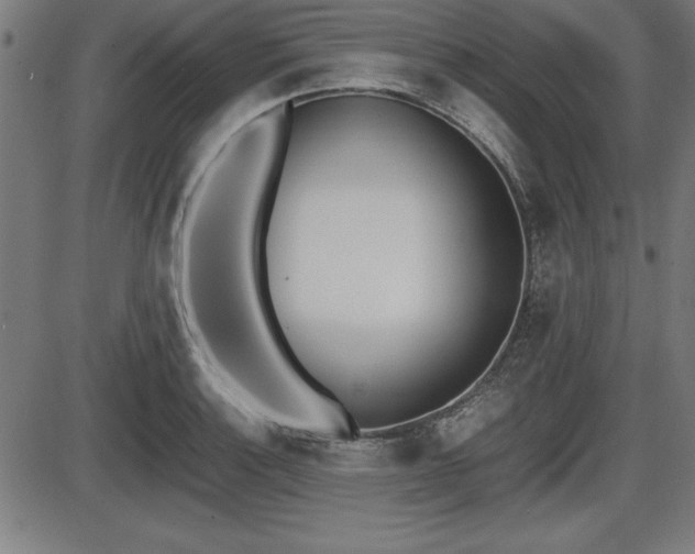 X0000087671132200705040719