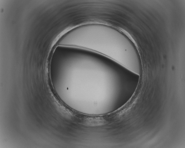 X0000087671133200705040719