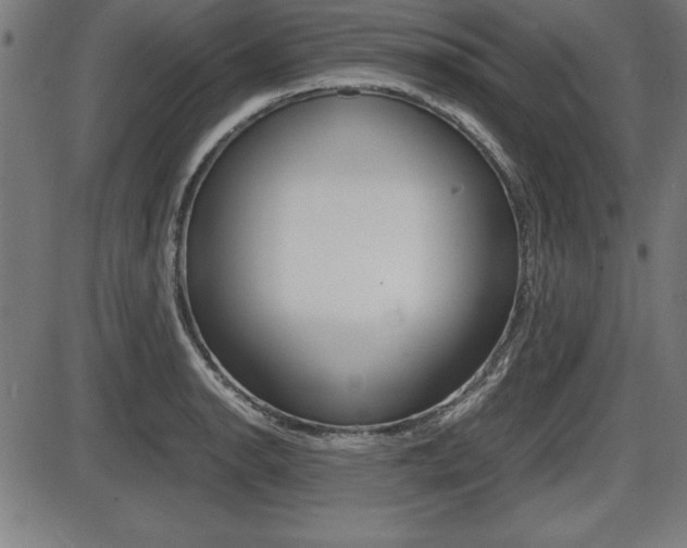 X0000087671134200705040719