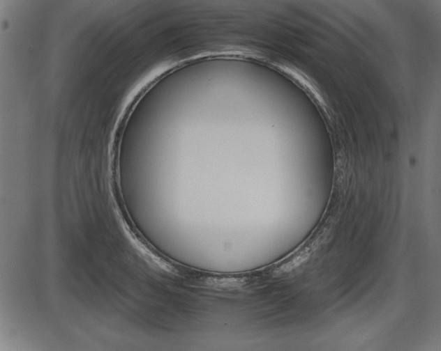 X0000087671135200705040719