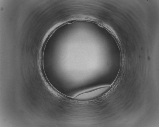 X0000087671136200705040719