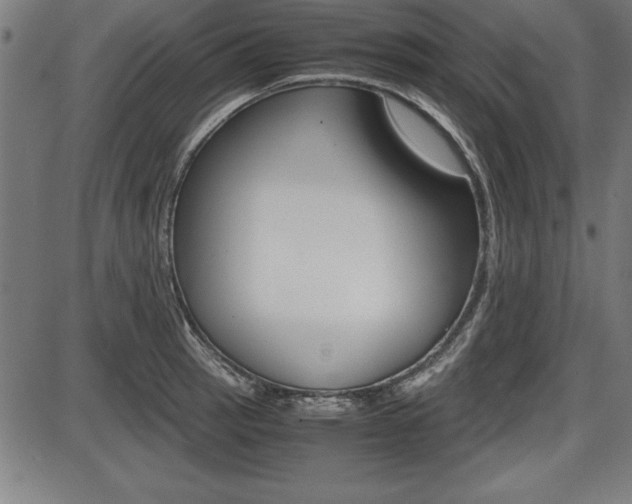 X0000087671137200705040719