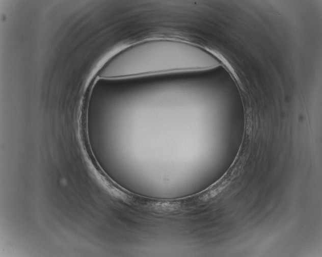 X0000087671139200705040719