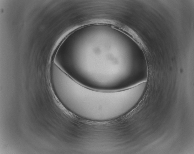 X0000087671140200705040719