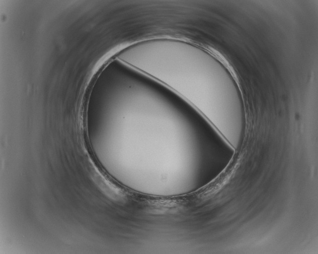 X0000087671141200705040719