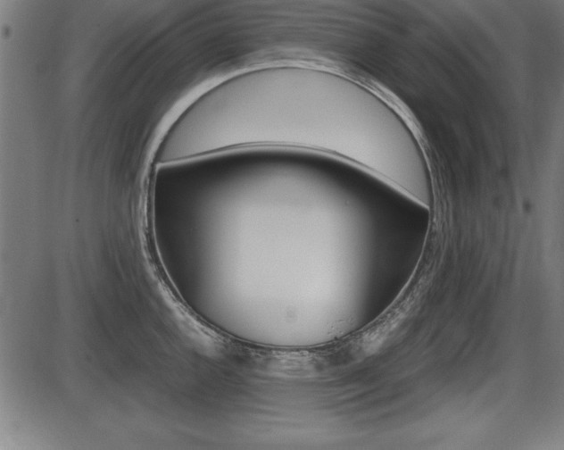 X0000087671144200705040719
