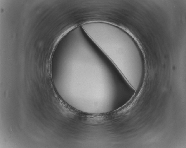 X0000087671145200705040719