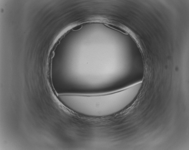 X0000087671147200705040719