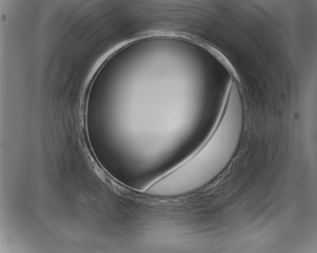 X0000087671148200705040719