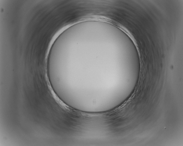 X0000087671152200705040719
