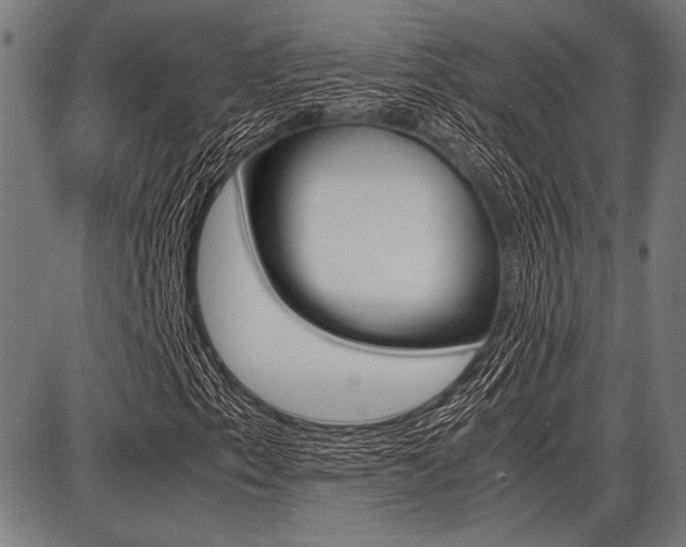 X0000087671153200705040718