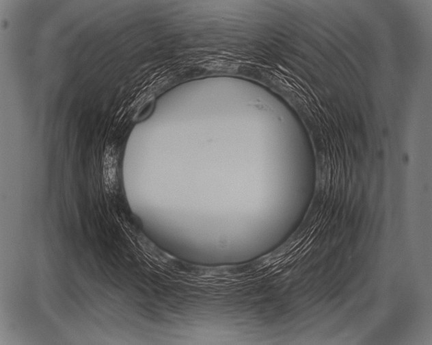 X0000087671154200705040718