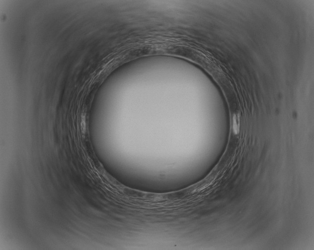 X0000087671155200705040718