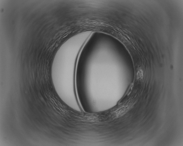 X0000087671156200705040718