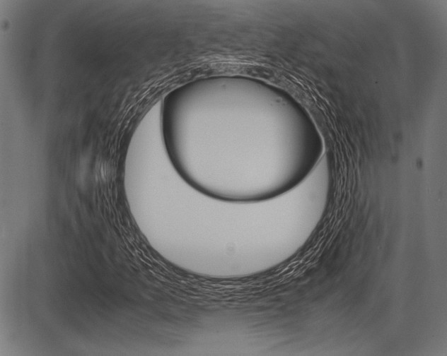 X0000087671157200705040718
