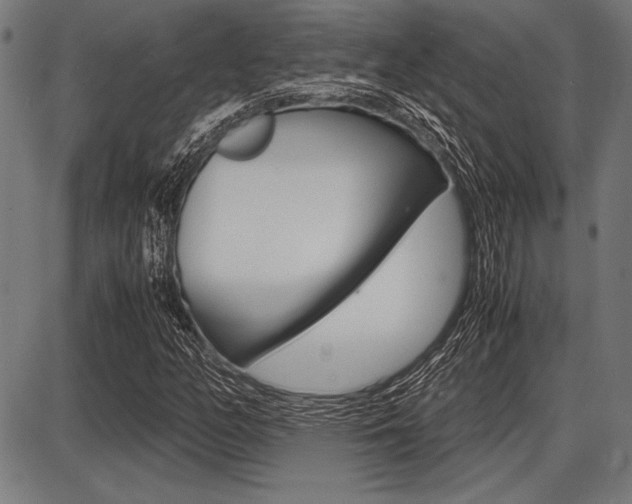 X0000087671158200705040718