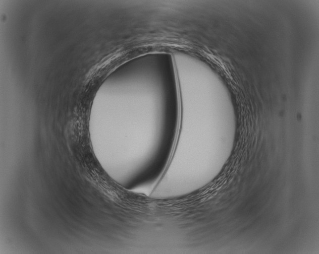 X0000087671159200705040718