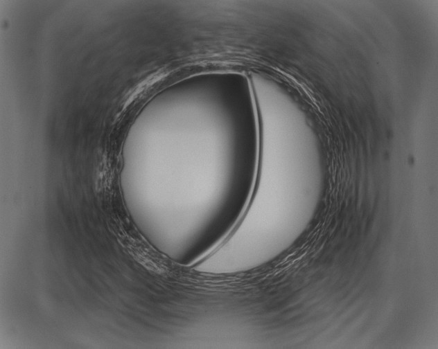X0000087671160200705040718