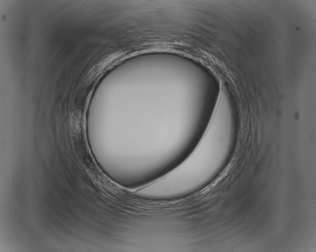 X0000087671161200705040718