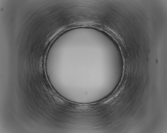 X0000087671162200705040718