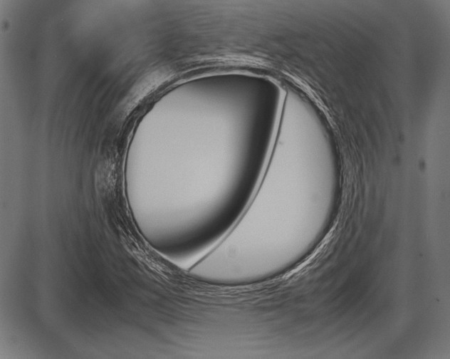 X0000087671163200705040718