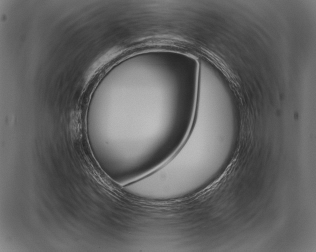 X0000087671164200705040718