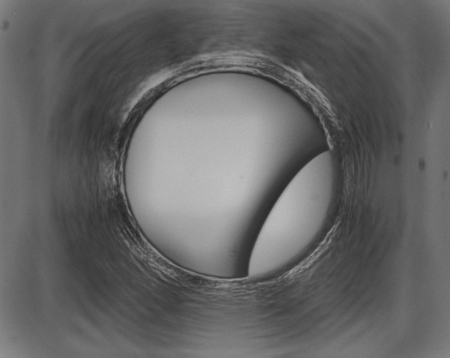 X0000087671166200705040718