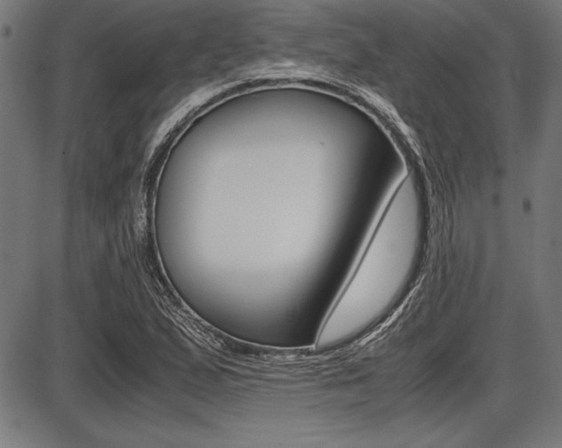 X0000087671167200705040718