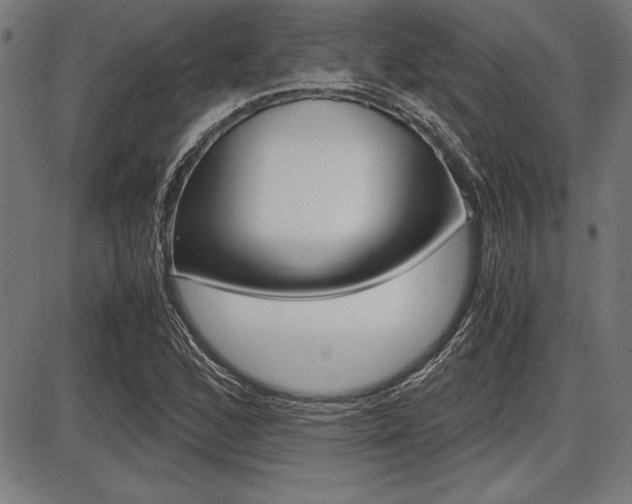 X0000087671168200705040718