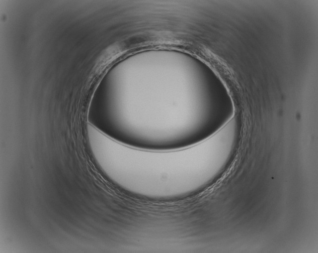 X0000087671169200705040718
