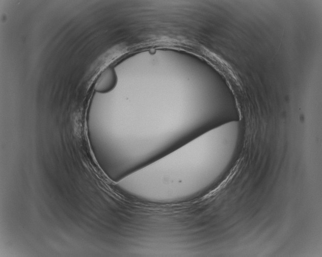 X0000087671170200705040718