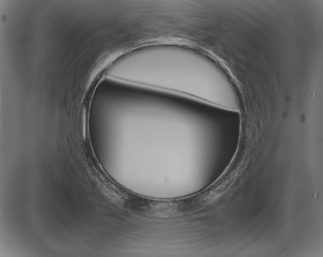 X0000087671171200705040718