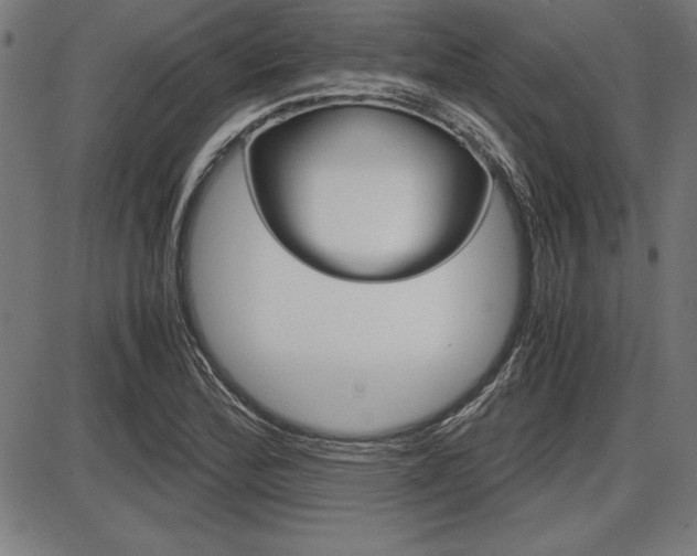 X0000087671172200705040718