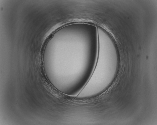 X0000087671173200705040718