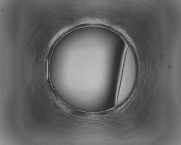 X0000087671175200705040718