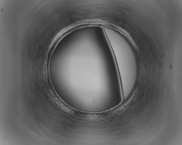 X0000087671176200705040718