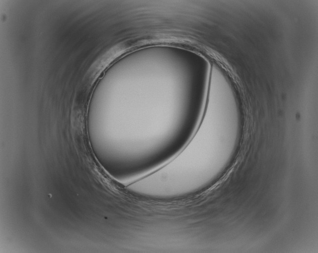 X0000087671177200705040718