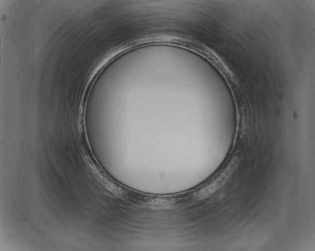 X0000087671178200705040718