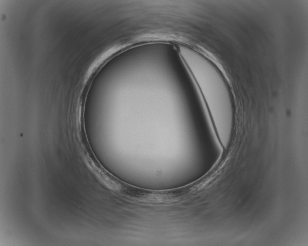 X0000087671179200705040718