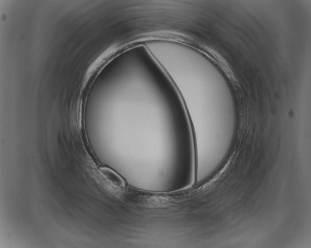 X0000087671180200705040718