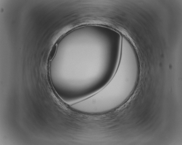 X0000087671181200705040718