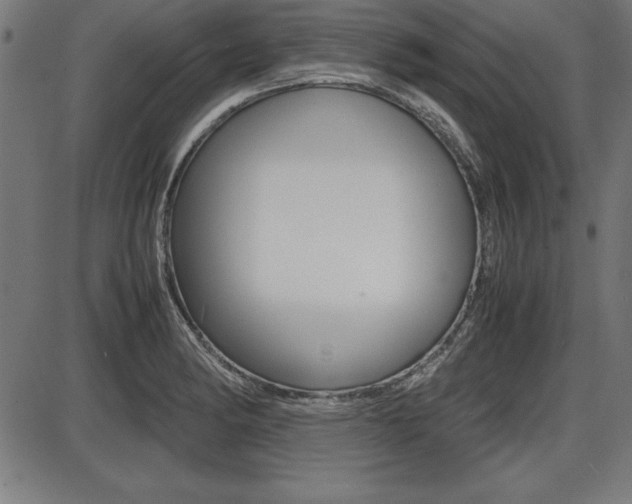 X0000087671182200705040718