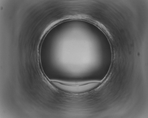 X0000087671184200705040718