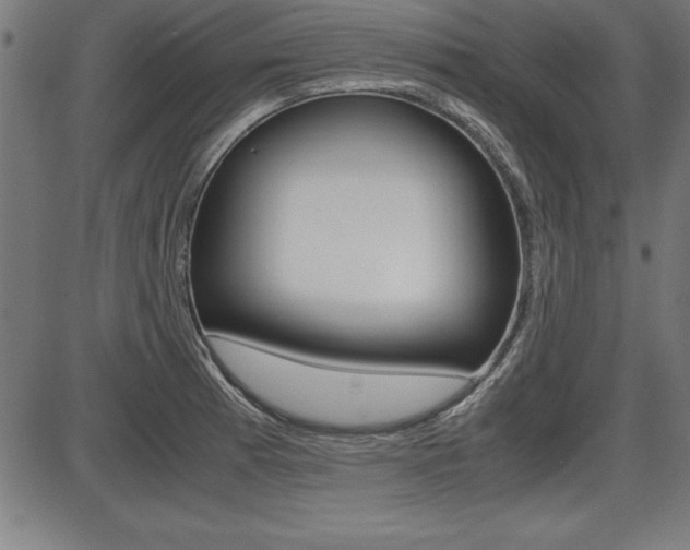 X0000087671185200705040718