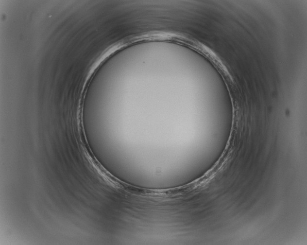 X0000087671186200705040718