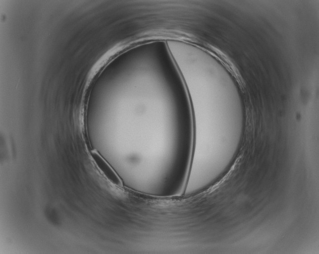 X0000087671188200705040718