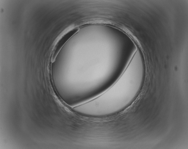 X0000087671189200705040718
