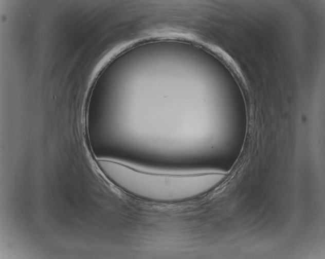 X0000087671191200705040718