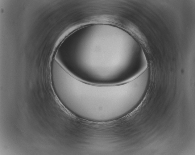 X0000087671192200705040717